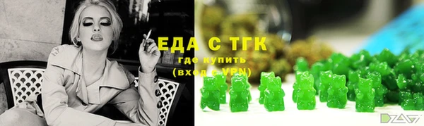 гашик Богородск