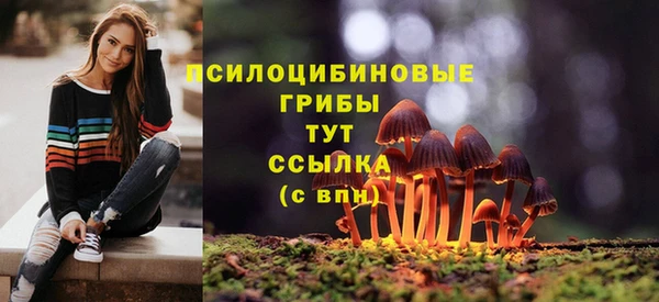 кокаин перу Богданович