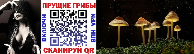 Псилоцибиновые грибы ЛСД  ОМГ ОМГ ONION  Называевск 