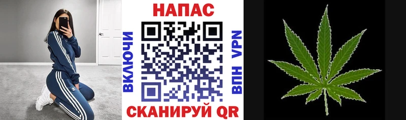 Каннабис ГИДРОПОН  blacksprut как войти  Называевск 